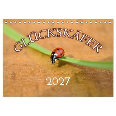 Marienkäfer 2027 (Tischkalender 2027 DIN A5 quer), CALVENDO Monatskalender
