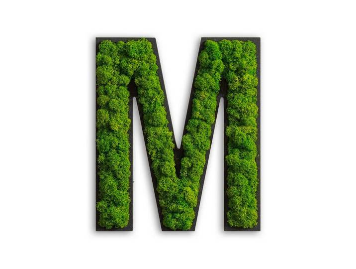 Moosbild Grün
