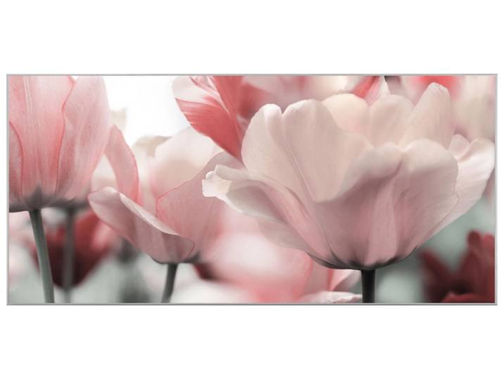 Bild mit Rahmen Blüten in Rose image LAND