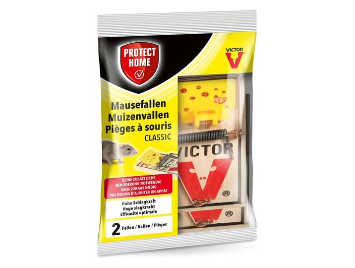 SBM protect home muizen val hout