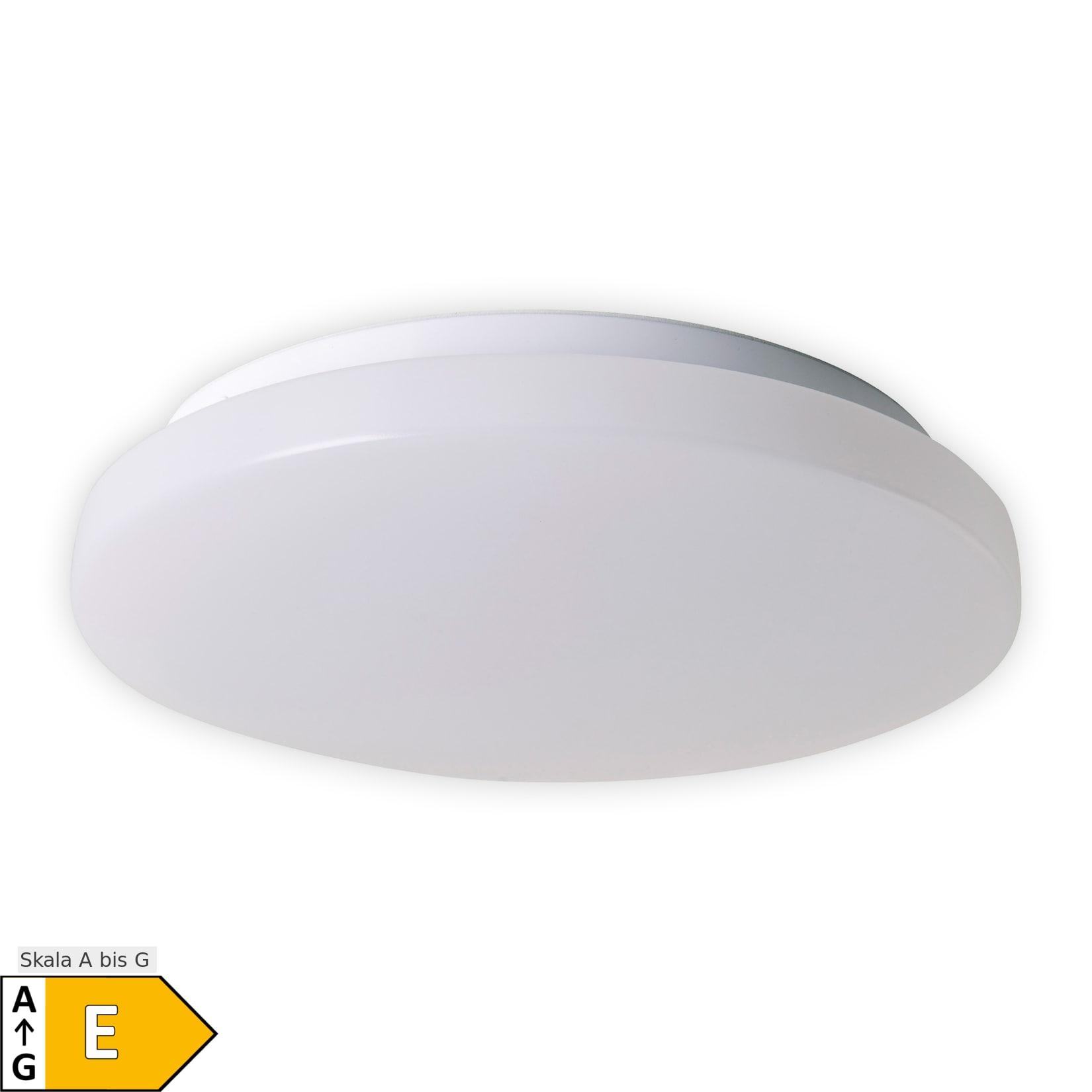 Näve LED Deckenleuchte "FONTANA" Ø: 29cm