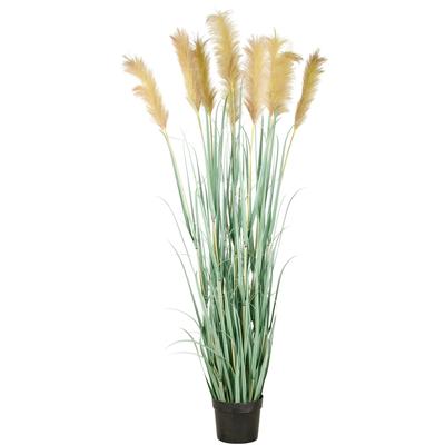 Kunstgras CREATIV GREEN "Grasbusch Cortaderia", grün (grün natur), H:175cm, Kunststoff, Kunstpflanzen, in opulenter Größe