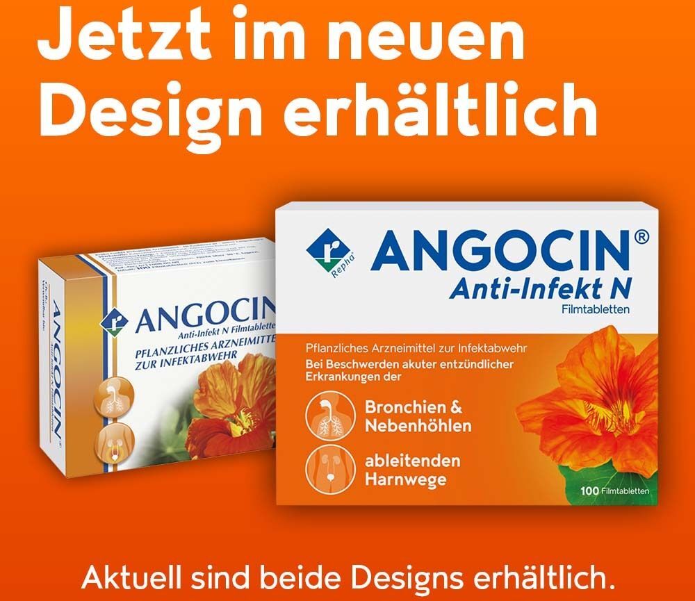 Angocin Anti-Infekt N Filmtabletten 500 St