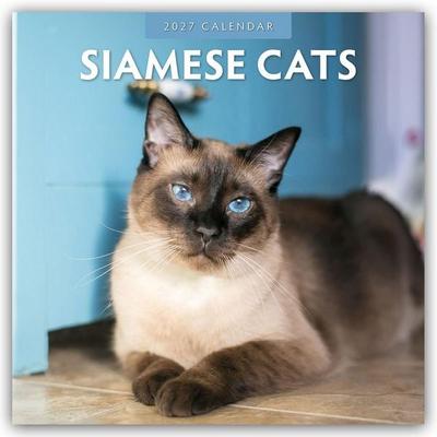 Siamese Cats – Siamkatzen – Siamesische Katzen 2027 – 16-Monatskalender