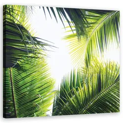 WANDBILD palmen blätter pflanzen