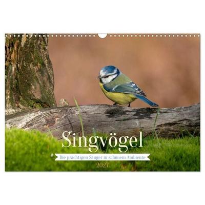 SINGVÖGEL - Die prächtigen Sänger in schönem Ambiente (Wandkalender 2027 DIN A3 quer), CALVENDO Monatskalender