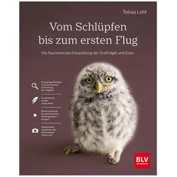 Vom Schlüpfen bis zum ersten Flug, Ratgeber von Tobias Lohf