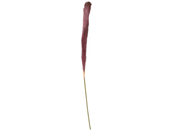 Pampas LIANA Violett