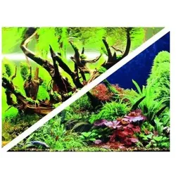 Hobby Fotorückwand (Dekoration), Aquarium Dekoration