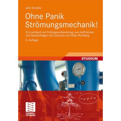 Ohne Panik Strömungsmechanik!, Taschenbuch von Jann Strybny, Vieweg & Teubner, 978-3-8348-1791-4