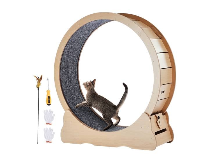 SucceBuy – grande roue d'exercice en bois pour chat, tapis roulant pour chat d'intérieur, roue de course avec tapis détachable et Teaser pour chat