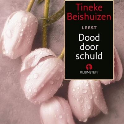 Dood door schuld - Tineke Beishuizen, Audio, 9789047603986