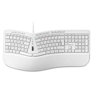 MediaRange Tastatur ergonomisch weiss kabelgebunden/124 Tasten/Scrollrad (DE, Kabelgebunden) (MROS272)