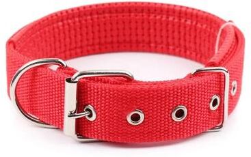Uplift Essentials Solid Nylon Dog Collar red 2xl
