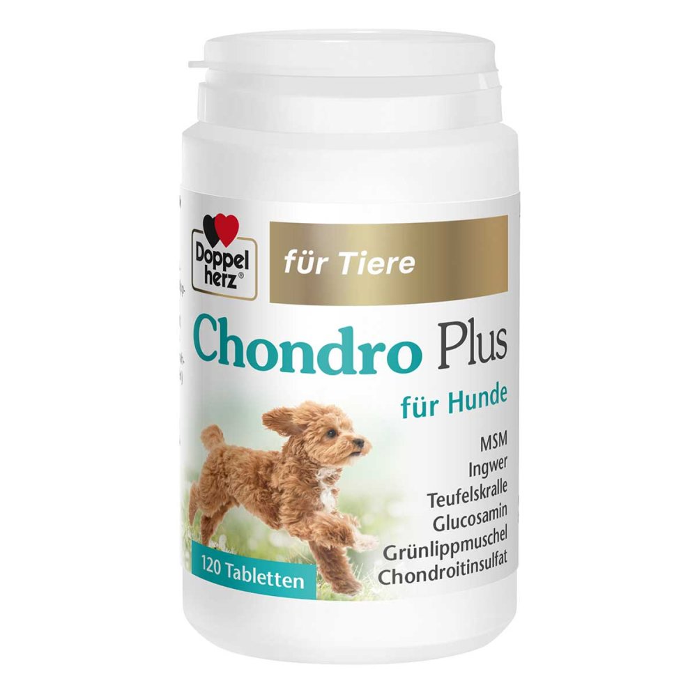 Queisser Pharma GmbH & Co. KG Doppelherz Für Tiere Chondro Plus Tabletten für hunde 19495636