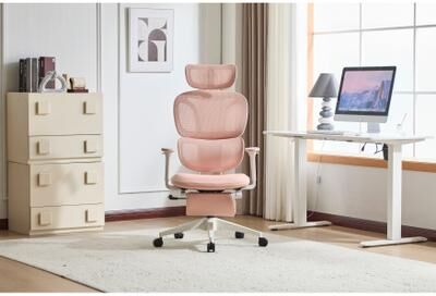 toswini Mesh High Back Office Chair with Dynamic Lumbar Support and Footrest