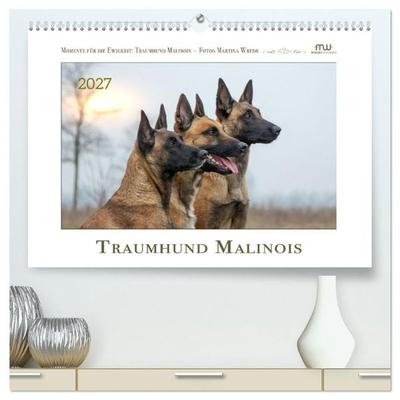 Traumhund Malinois (hochwertiger Premium Wandkalender 2027 DIN A2 quer), Kunstdruck in Hochglanz
