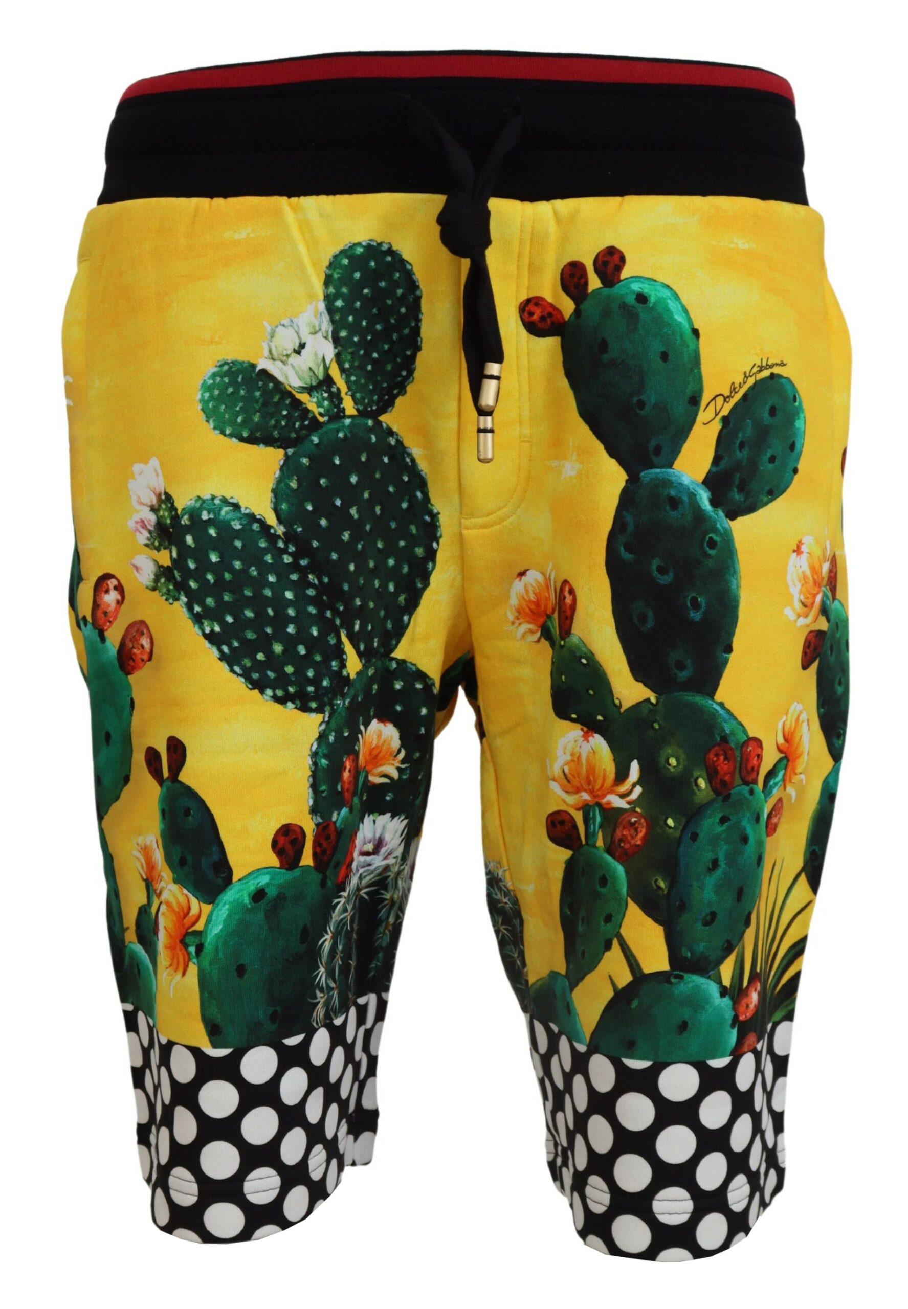 Dolce & Gabbana Mehrfarbige Kaktusdruck Baumwolle Sweat Herren Shorts