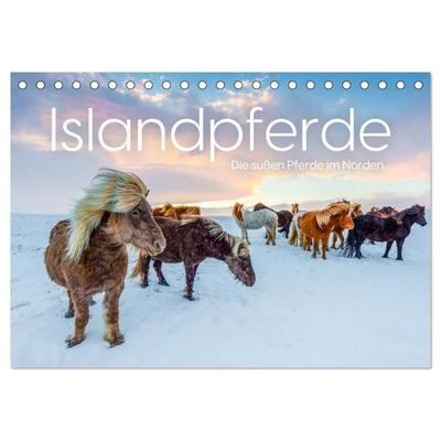 Islandpferde - Die süßen Pferde im Norden. (Tischkalender 2027 DIN A5 quer), CALVENDO Monatskalender