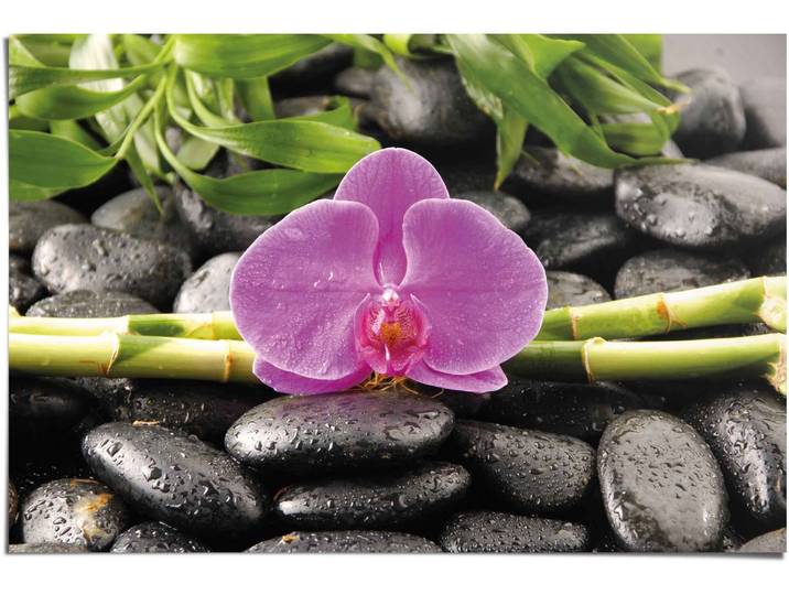 Poster REINDERS Orchidee , rosa (farbe bild(er): rosa), B:91,5cm H:61cm, Papier, Bilder, Poster