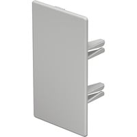 Endstück zum Verschließen der Wand- und Deckenkanäle 60x110 Millimeter, Befestigung/Montage weiß, Retail