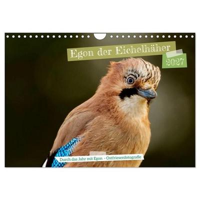 Egon der Eichelhäher - Durch das Jahr mit Egon - von Ostfriesenfotografie (Wandkalender 2027 DIN A4 quer), CALVENDO Monatskalender