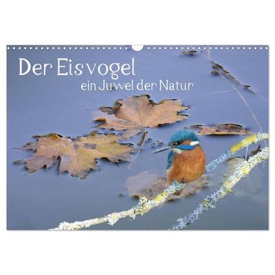 Der Eisvogel, ein Juwel der Natur (Wandkalender 2027 DIN A3 quer), CALVENDO Monatskalender