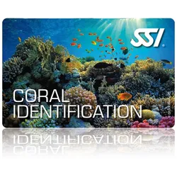 Coral Identification - SSI Specialty - Online Tauchkurs