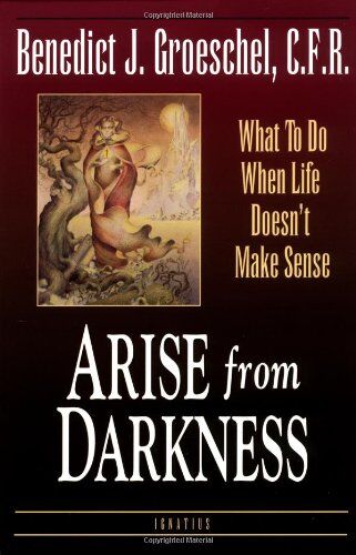 Groeschel, Fr Benedict J. - Arise from Darkness: What to Do When Life Doesn't Make Sense - Preis vom 04.10.2026 03:51:26 h