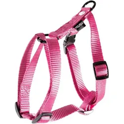 Martin Sellier XL (XL, Hund, Spazieren), Halsband + Leine
