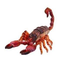 Beppe Brauner Skorpion 38cm (38 cm) (61087392)