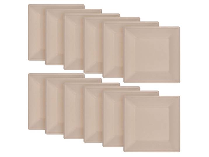 Teller eckig aus Zuckerrohr 12er-Set, Teller biologisch abbaubar, 15 x 15 cm