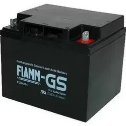 Fiamm FG24204 12V 42Ah Blei Akku / Blei Akku / AGM Blei Vlies VdS