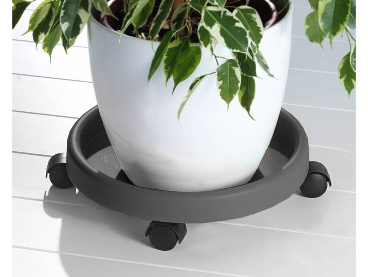 Blumentopfuntersetzer RUCO - Aufstellfläche bzw. Innenmaß ca. 30 cm , grau (anthrazit), H:9cm Ø:34cm, Kunststoff, Untersetzer, Blumentopfuntersetzer, Kunststoff, Ø 34 cm