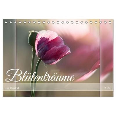 Blütenträume - im Quadrat (Tischkalender 2027 DIN A5 quer), CALVENDO Monatskalender