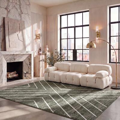 SAFAVIEH Adirondack Arife Vintage Oriental Rug