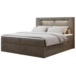 Boxbett mit Bettkasten  ¦ braun ¦ Maße (cm): B: 140 H: 103