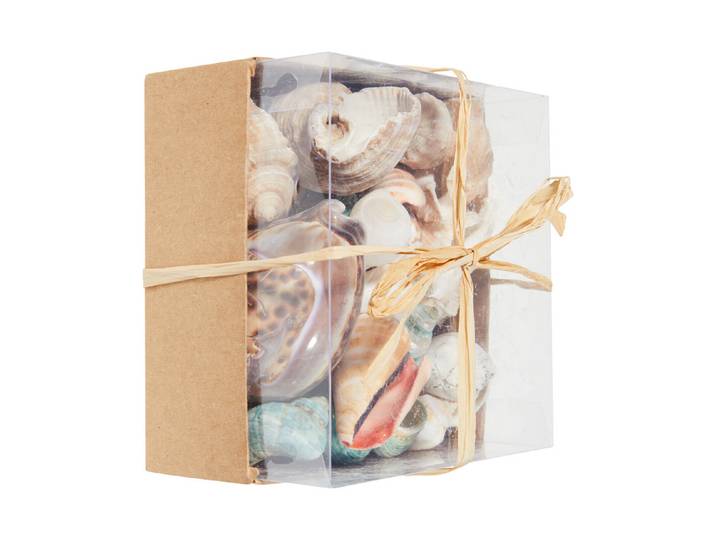 Glorex Muschel-Mix Braun 430 g