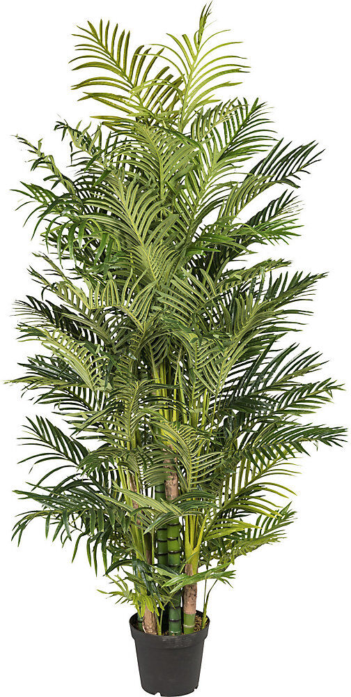 kaiserkraft Arecapalme, real touch, im Kunststofftopf, Höhe 2200 mm