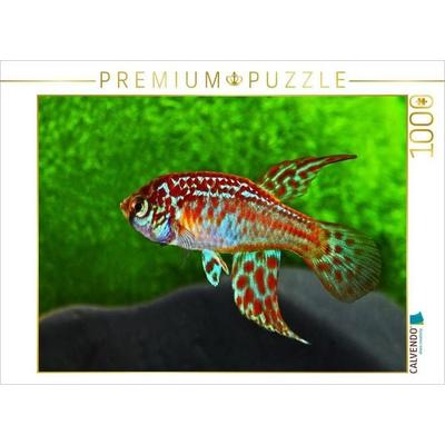 CALVENDO Puzzle Maratecoara lacortei BRASILIEN | 1000 Teile Lege-Größe 64x48cm Foto-Puzzle für glückliche Stunden