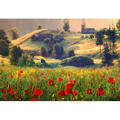Fototapete PAPERMOON "Neblige Sommerlandschaft", bunt, B:4m L:2,6m, Vlies, Tapeten