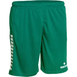 DERBYSTAR Primo Shorts grün/weiß S
