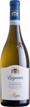 Lugana Oasi Mantellina 2025 - Allegrini - Lugana - Weisswein - 0.75L
