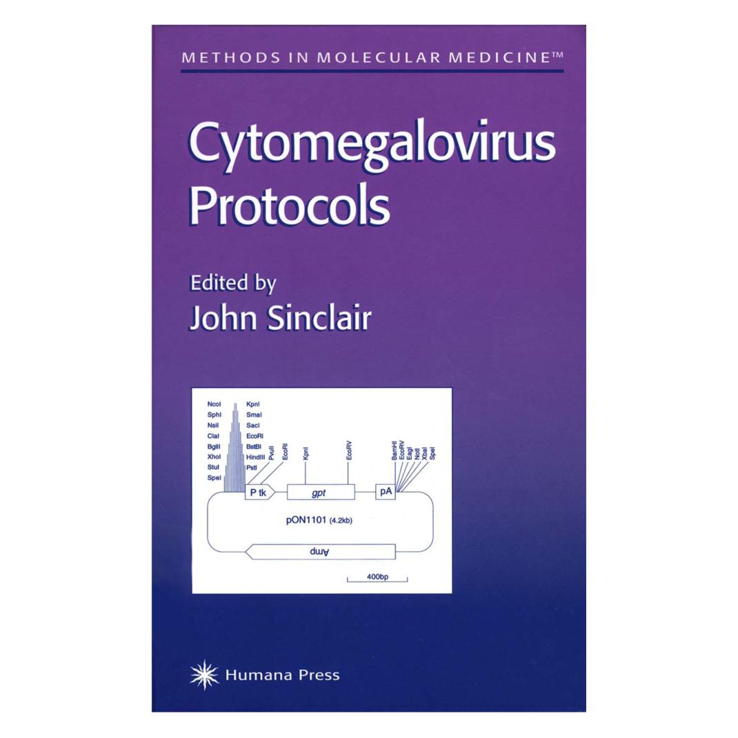 Springer Cytomegalovirus Protocols (Englisch, Softcover, John Sinclair) (55382495)