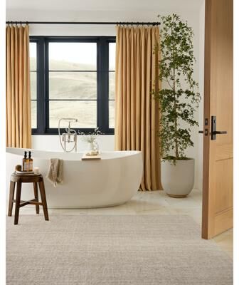Alexander Home Thalkon Contemporary Area Rug