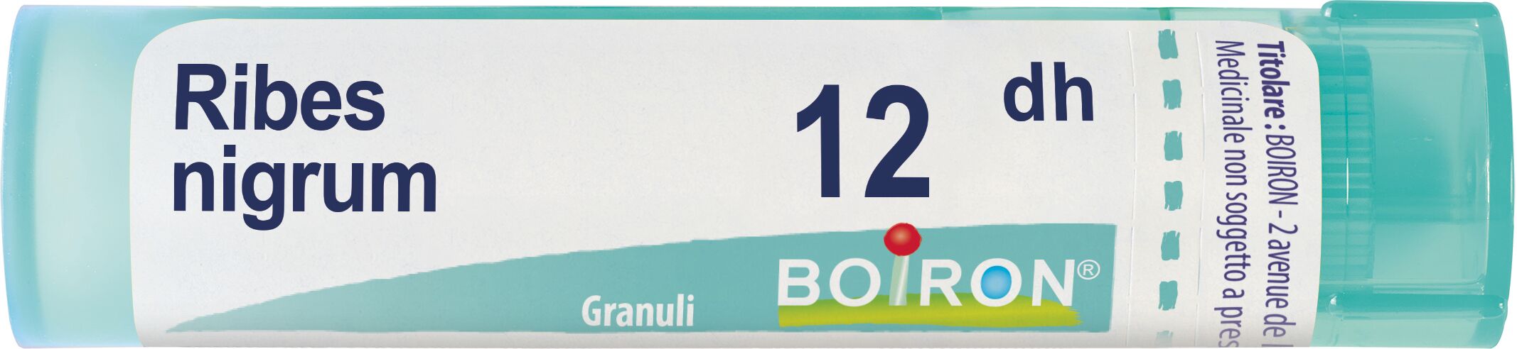Boiron Ribes Nigrum 12 Dh Tubo 2020