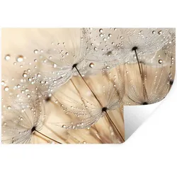 WANDTATTOO Löwenzahn - Abstrakt - Natur - Beige Deko Wohnzimmer 60x40 cm