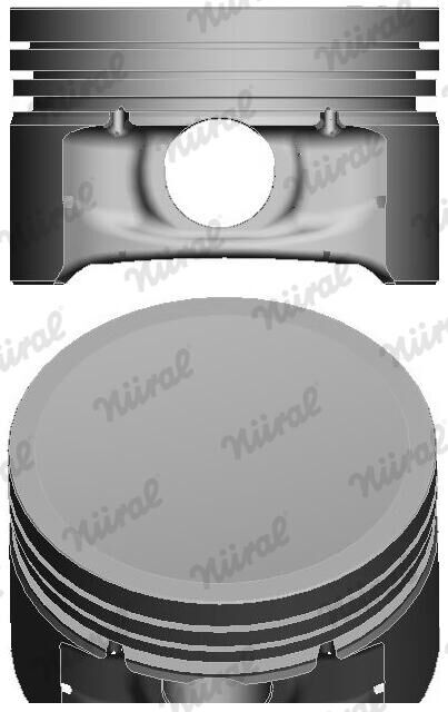 Nüral Kolben 8745000000 Für Renault
