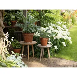 + 10 % Kassenrabatt | ROUGH-K Beistelltisch Outdoor ø 40x40 cm