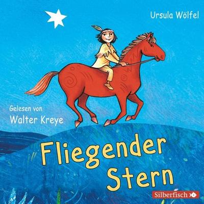 Fliegender Stern - Ursula Wölfel, Audio, 9783844907056